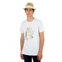Chapeau de Paille Style Panama Sans Ruban