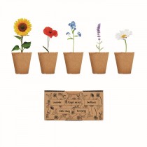 Goodies - Kit de Culture de Fleurs