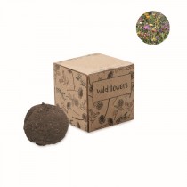 Goodies Kit de culture de graines de fleurs sauvages