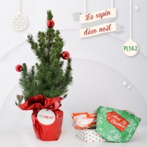 Goodies Sapin de Noël Décoré