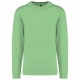 Sweat-Shirt Col Rond Unisexe, Couleur : Apple Green, Taille : XS
