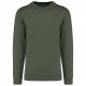 Sweat-Shirt Col Rond Unisexe, Couleur : Caper Green, Taille : XS