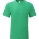 T-Shirt Homme Iconic-T, Couleur : Kelly Green, Taille : L