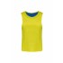 Fluorescent Yellow / Sporty Royal Blue