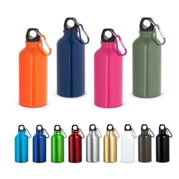 Gourde aluminium Landscape 400 ml avec mousqueton