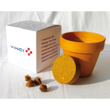 Le Cube de Plantation Cadeau d'Affaire