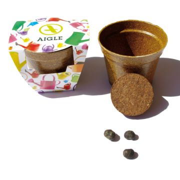 Kit Jardin Ecolo Cadeau d'Entreprise - Pot Biodégradable