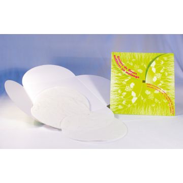 Carte Ecologique Publicitaire avec Sachet de graines
