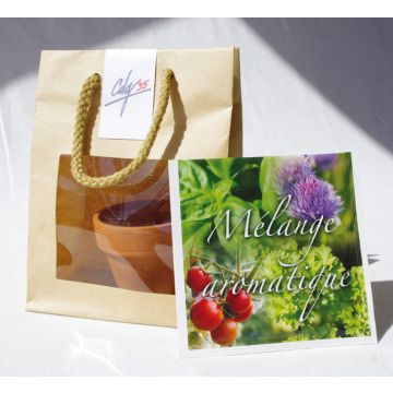Goodies Semis avec Pot Dans une Poche en Kraft