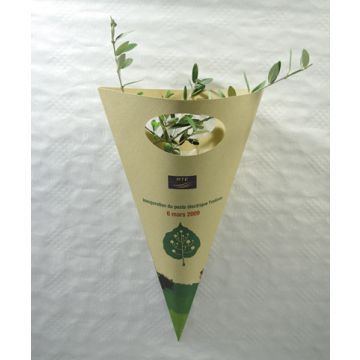 Plant d'Arbre en Cornet Kraft Prestige Cadeau client
