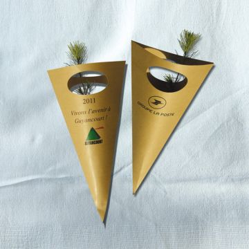 Plant d'Arbre en Cornet Kraft Résineux Cadeau d'Entreprise