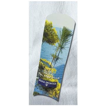 Plant d'Arbre Résineux en Étui Cadeau CE