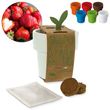 Cadeau d'affaire Tasse à café hot-but-cool avec graines de fraisiers