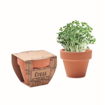 Pot avec graines de cresson