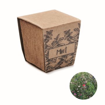 Kit de graines de menthe