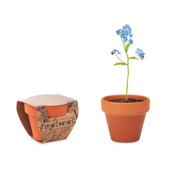Goodies Pot Graines Goodies de Myosotis