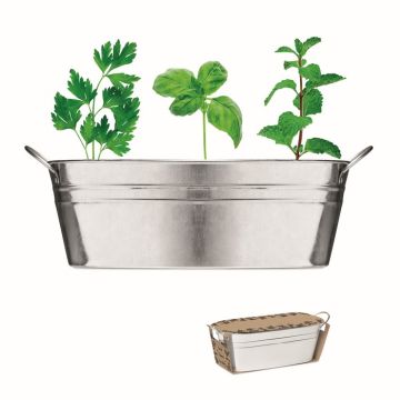 Goodies - Bac en Zinc & Herbes Aromatique