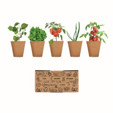 Goodies - Kit de Culture de Salade