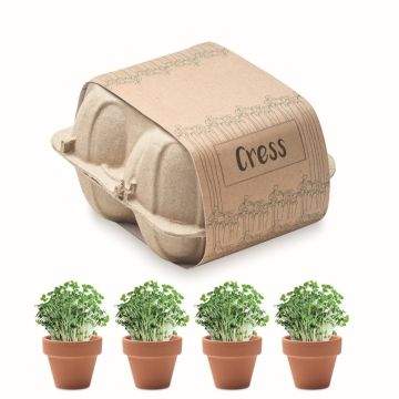Lot de 4 pots en terre cuite graines de Cresson goodies