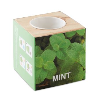 Pot en bois avec graine Menthe