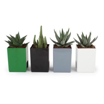 Le Pot' Ordi Cadeau Fin d'Année