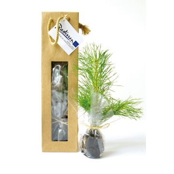 Plant d'Arbre en Sac Kraft Résineux Cadeau Promotionnel