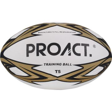Ballon Challenger T5 pour club de sport