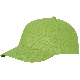Vert Pomme