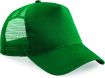 Bottle Green / Bottle Green