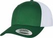 Evergreen / White