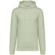 Celadon Green