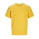 Spectra Yellow