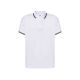 White / Navy