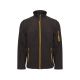Black / Gold