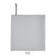 Gris Pur