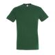 Vert Foncé