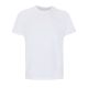 Blanc Absolu
