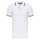 White / Navy / White
