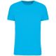 Sea Turquoise
