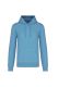 Cloudy Blue Heather