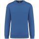 Light Royal Blue