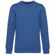 Light Royal Blue