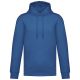 Light Royal Blue