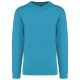 Hawaii Blue