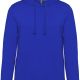 Light Royal Blue