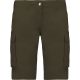 Light Khaki