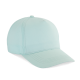 Ice Mint