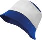 Royal Blue / White