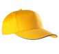Yellow / Dark Grey