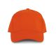 Spicy Orange
